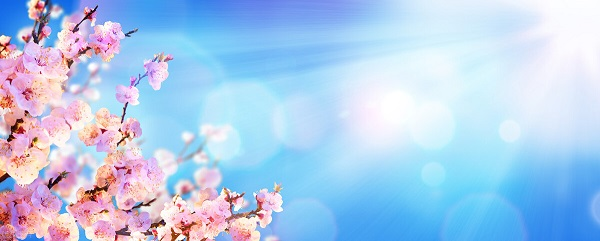 戰(zhàn)疫情，北京韋林公司全體員工齊心協(xié)力共克時艱！