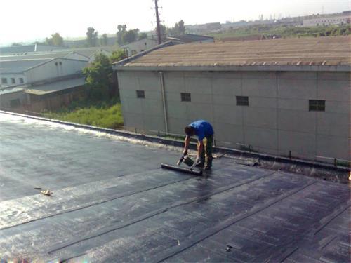65701.jpg 屋面防水1.jpg