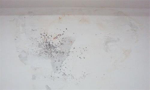 50155.jpg 防水補漏工程.jpg