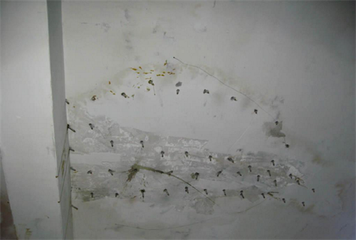 46879.png 上海防水.png