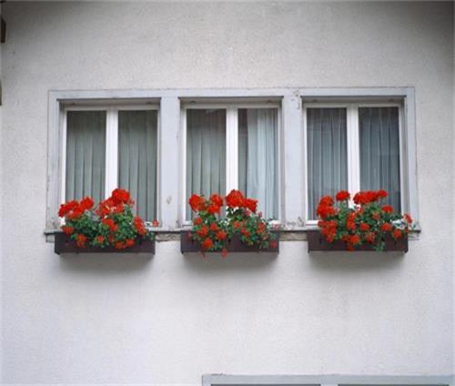 01959.jpg 防水補(bǔ)漏.jpg