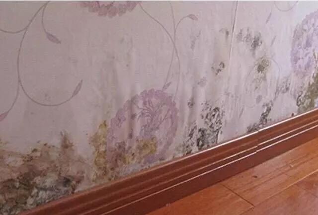 00798.jpg 屋面防水補(bǔ)漏.jpg