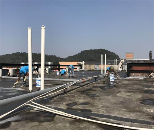 10389.jpg 防水補漏.jpg