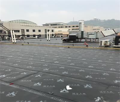 55282.jpg 防水補漏.jpg