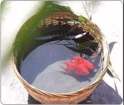 65331.jpg 防水補(bǔ)漏.jpg