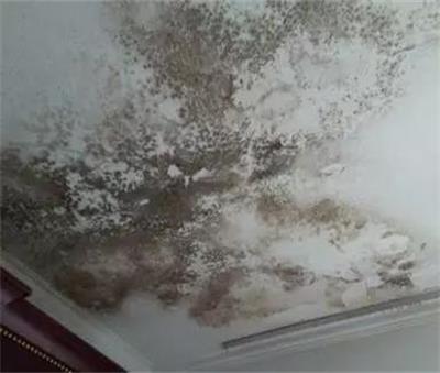 82552.jpg 防水補(bǔ)漏.jpg