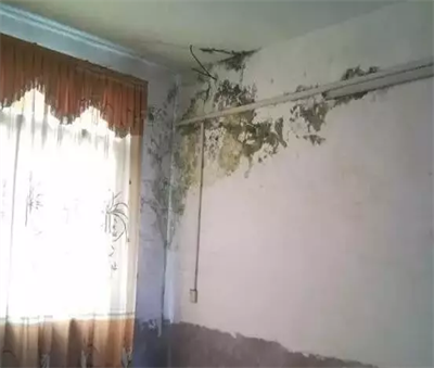 25007.png 防水堵漏.png