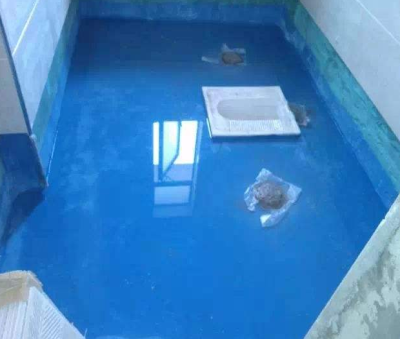 28817.jpg 防水公司.jpg