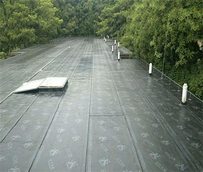 45875.jpg 防水.jpg