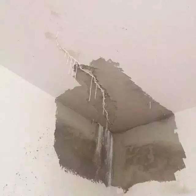 12273.jpg 2345_image_file_copy_2.jpg