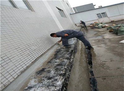 38192.jpg mtxx11.jpg