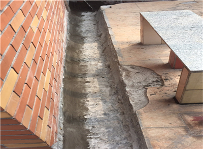 20715.jpg mtxx14.jpg