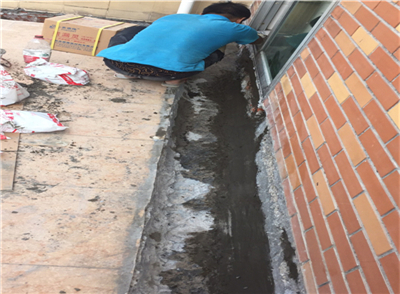 33721.jpg mtxx15.jpg