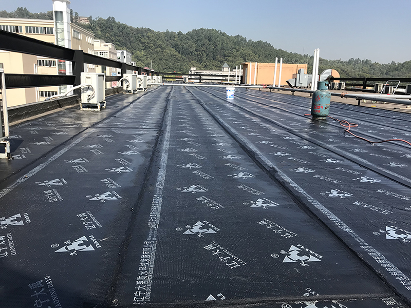 11964.jpg IMG_4747.JPG