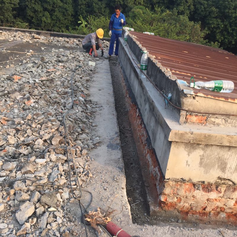 12743.jpg 微信圖片_815.jpg