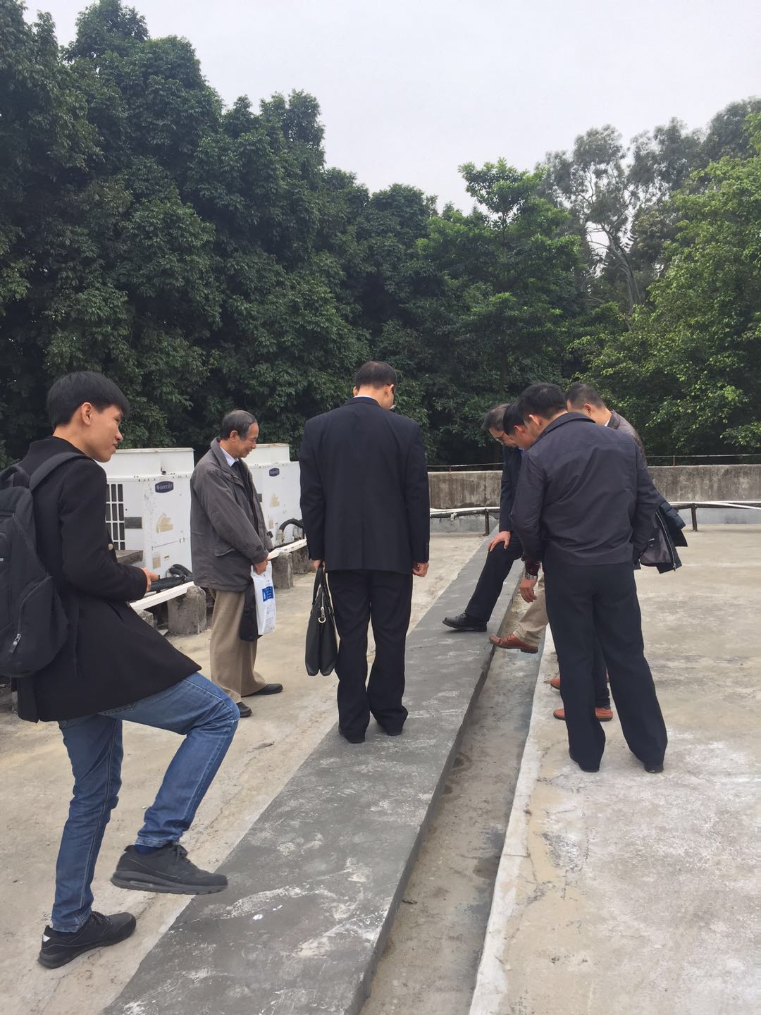 24641.jpg 微信圖片_626.jpg