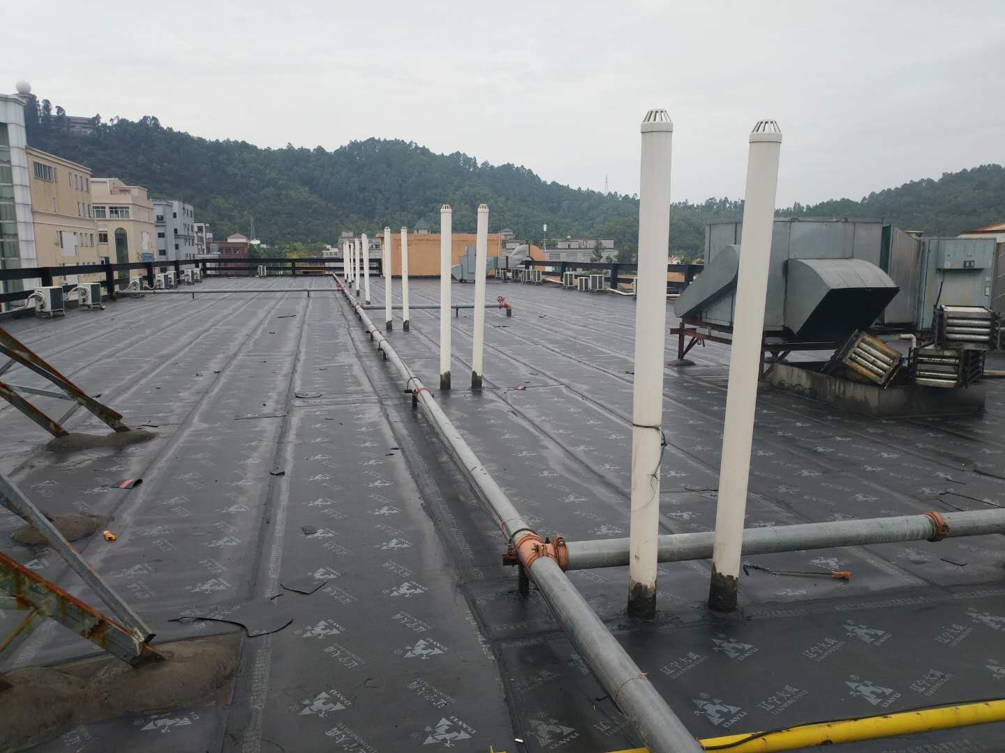 16314.jpg 微信圖片_323.jpg