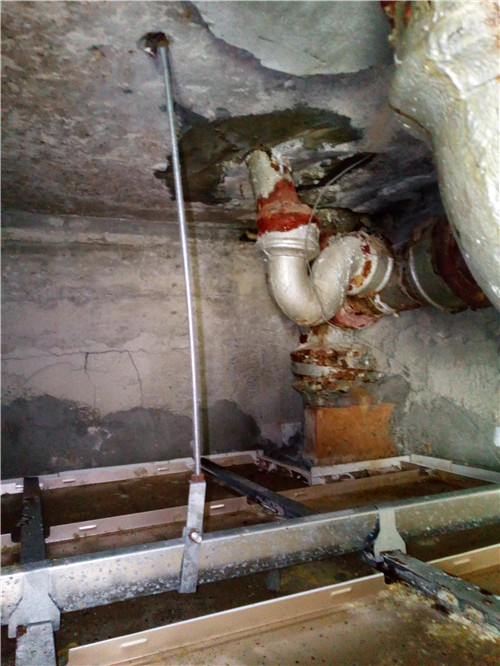 47432.jpg IMG__102615.jpg