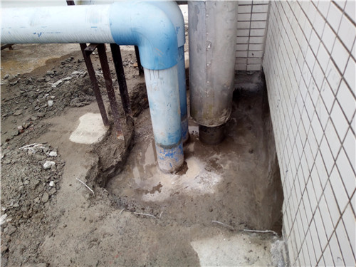 19004.jpg IMG__171712.jpg