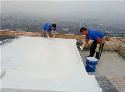 09132.jpg 微信圖片_10191716.jpg