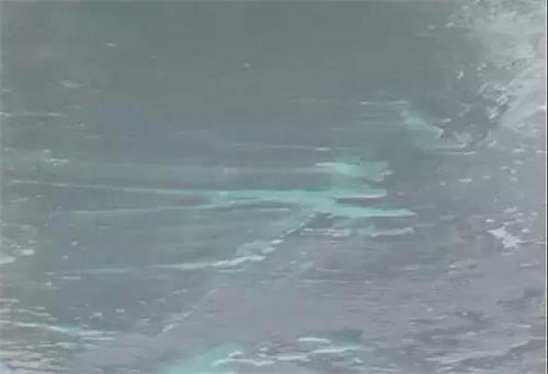 11628.jpg 防水補漏 (2).jpg