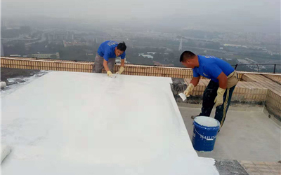 16972.jpg 微信圖片_10191716.jpg