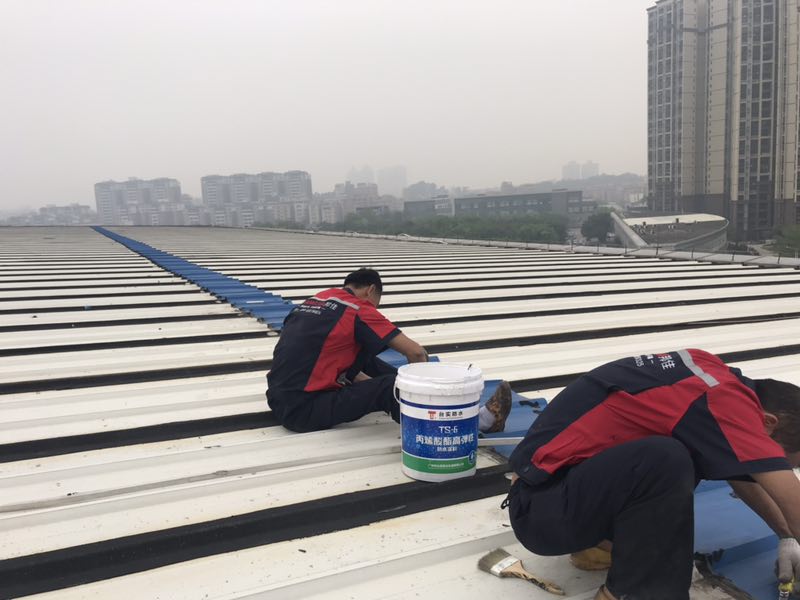 11323.jpg 微信圖片_140607.jpg